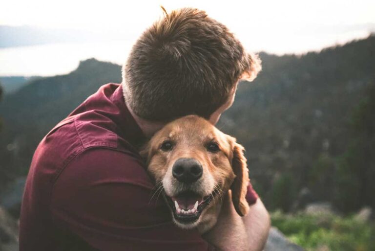 Cómo Superar El Duelo Por La Pérdida De Una Mascota: Guía Para Sobrellevar El Dolor